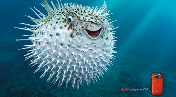 Kodak Underwater 2